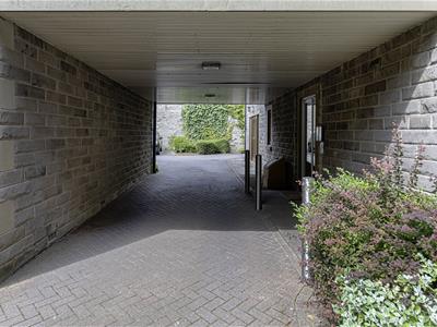 Picture 22